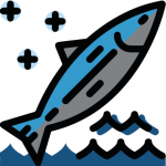 salvaje-bo pesca salvaje