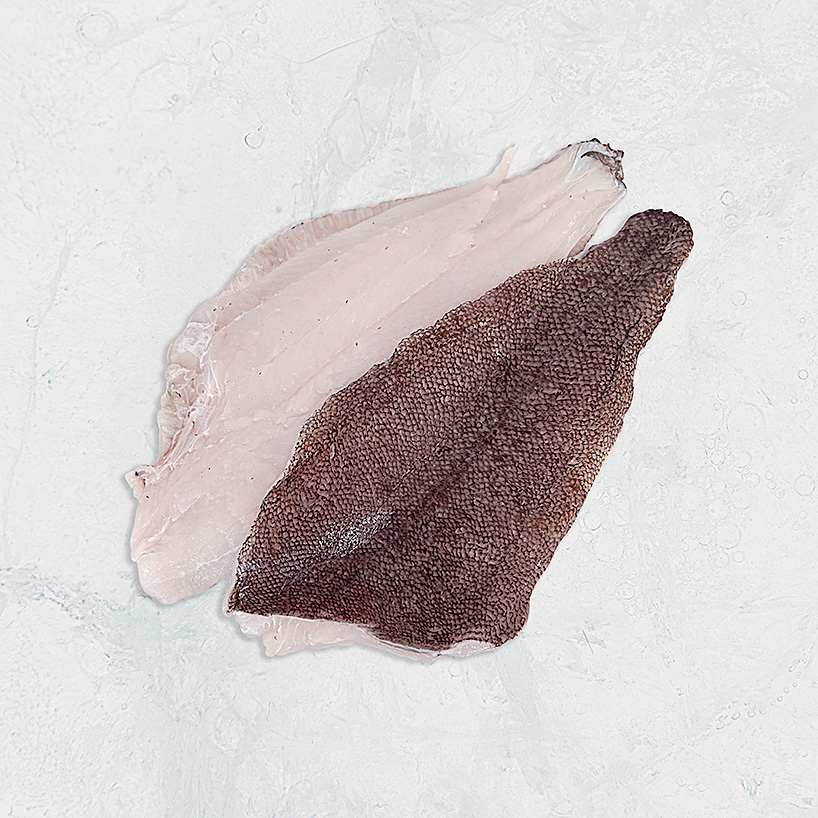 productos de mar, seafood, lenguado