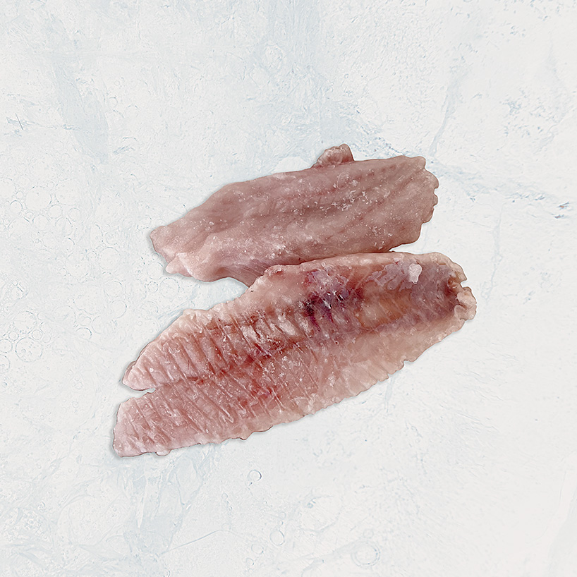 productos de mar, seafood, pez gallo