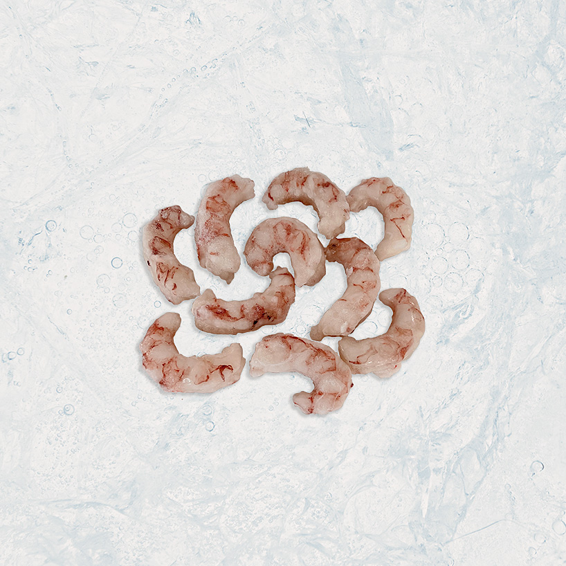 productos de mar, seafood, langostino