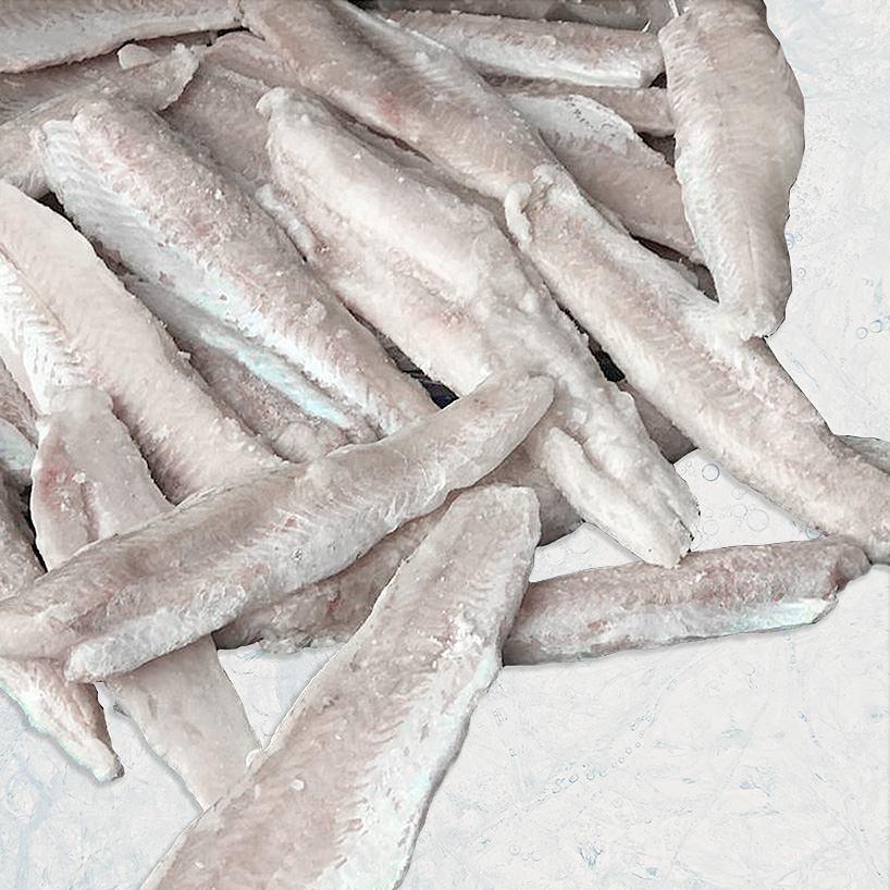 productos de mar, seafood, merluza