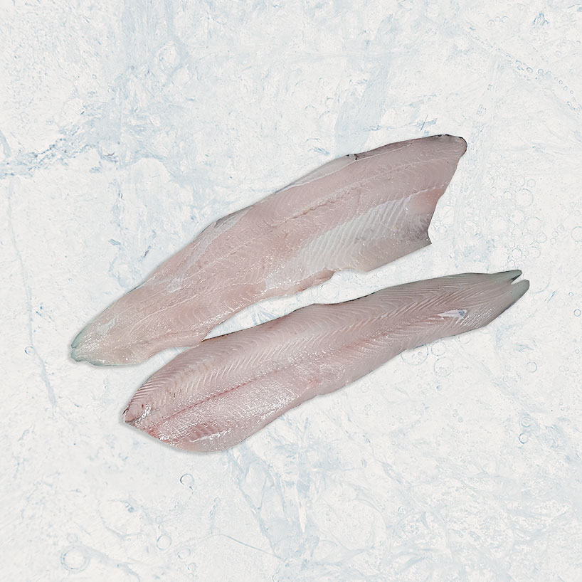 productos de mar, seafood, pez gallo